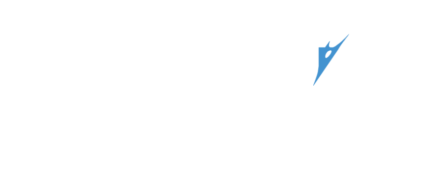 Flix Interactive